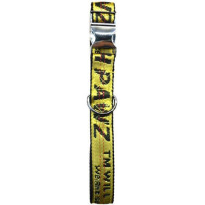Streetwear-Style Dog Collar
