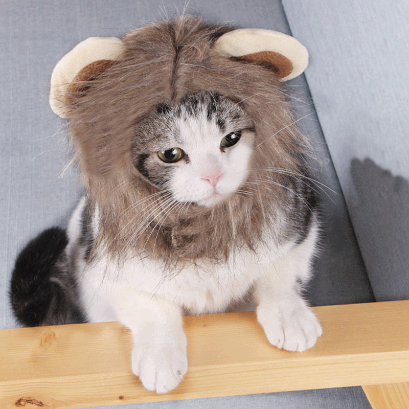 Chapeau Lion pour Chat et Petit Chien